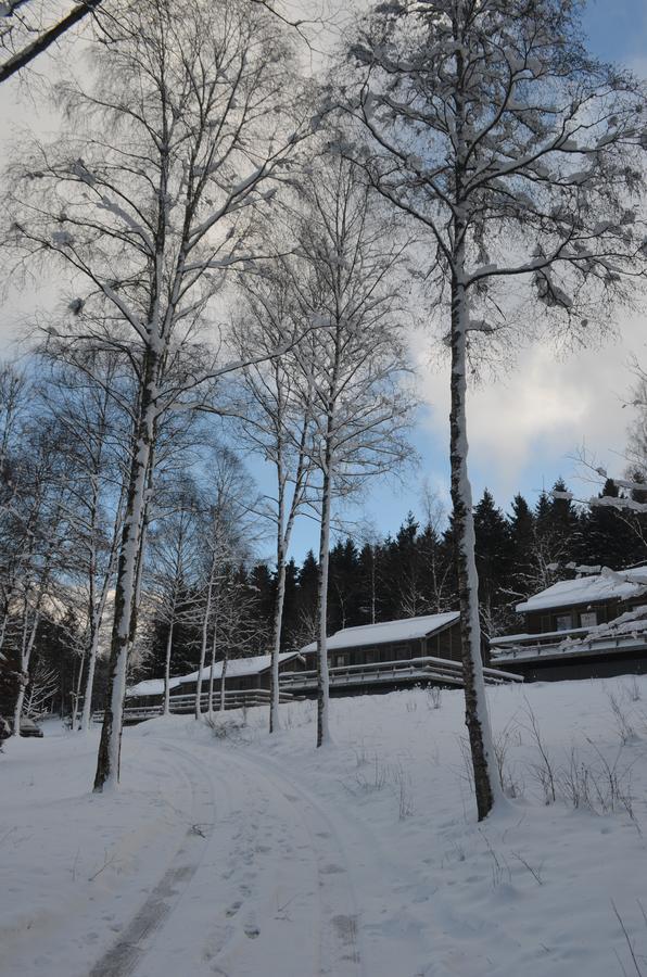 Chalet Le Forestier Bullange Exterior foto