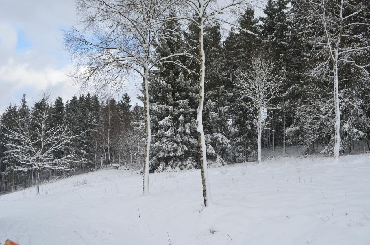 Chalet Le Forestier Bullange Exterior foto